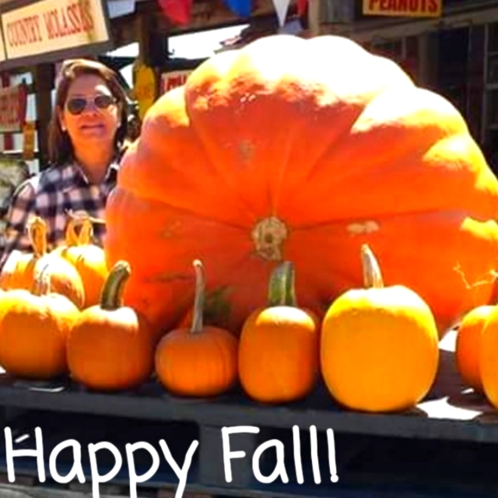 Happy Fall y'all 🍁